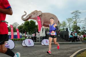 BIB: 
                            <button type="button" onclick="openModal(26529068)" class="btn btn-primary btn-sm float-right btn-popup" data-toggle="modal" data-target=".modal-high-quality">
                        <i class="fas fa-shopping-cart"></i> Add to Cart
                    </button>
                                            <button type="button" onclick="isThisMe(26529068, true)" class="btn btn-success btn-sm float-right btn-popup btn-isme hidden" data-toggle="tooltip" data-placement="bottom" title="นี่คือรูปของคุณใช่ไหม คลิกที่นี่เพื่อเอาเข้าอัลบั้ม">
                        <i class="fas fa-plus"></i> Add to album
                    </button>
                    <button type="button" onclick="isThisMe(26529068, false)" class="btn btn-warning btn-sm float-right btn-popup btn-isnotme hidden">
                        <i class="fas fa-ban"></i> Remove from album
                    </button>